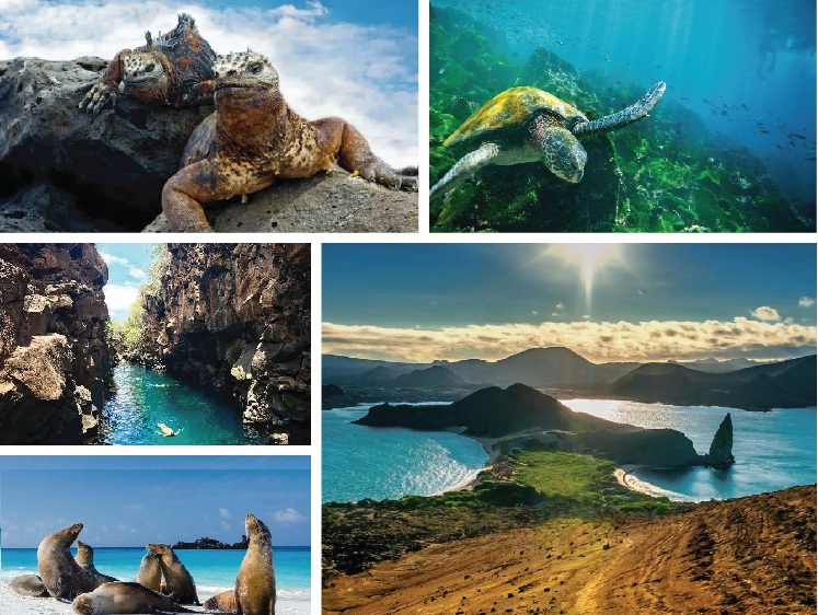 Galápagos